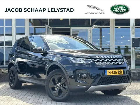 Used LAND ROVER DISCOVERY Hybrid 2020 Ad 