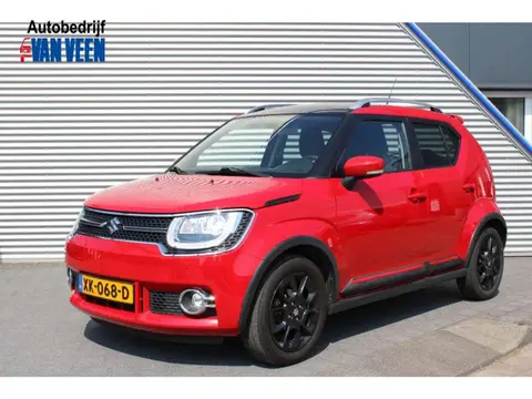 Used SUZUKI IGNIS Petrol 2019 Ad 