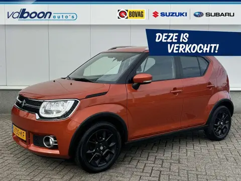 Used SUZUKI IGNIS Hybrid 2019 Ad 