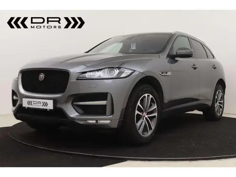 Used JAGUAR F-PACE Diesel 2017 Ad 