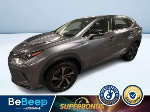 Annonce LEXUS NX Hybride 2019 d'occasion 