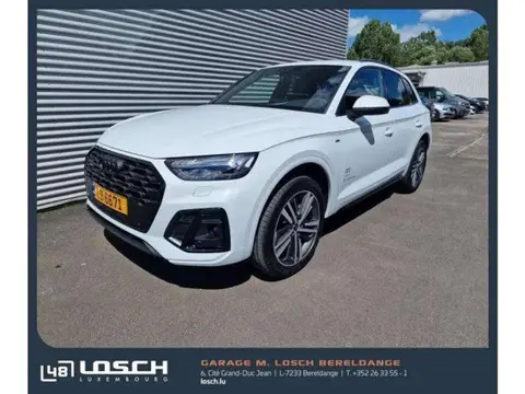 Annonce AUDI Q5 Diesel 2024 d'occasion 