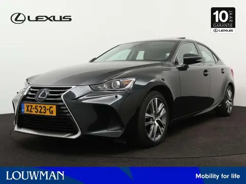 Used LEXUS IS Hybrid 2019 Ad 