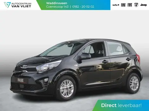 Used KIA PICANTO Petrol 2024 Ad 