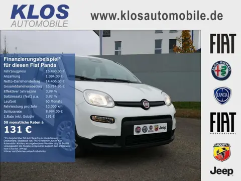 Used FIAT PANDA Petrol 2024 Ad 