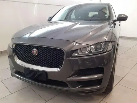 Used JAGUAR F-PACE Diesel 2019 Ad 