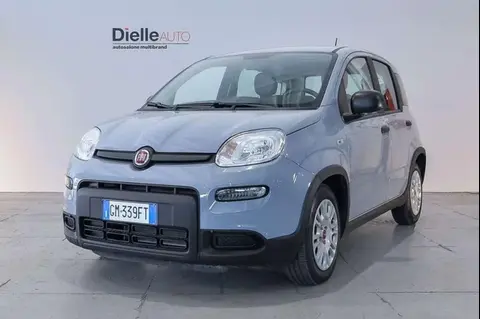 Annonce FIAT PANDA Hybride 2023 d'occasion 