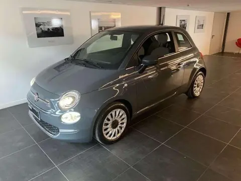 Used FIAT 500 Hybrid 2021 Ad 