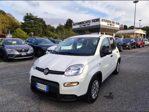 Used FIAT PANDA Hybrid 2023 Ad 