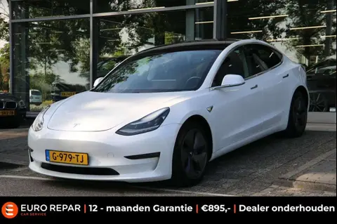 Used TESLA MODEL 3 Electric 2019 Ad 