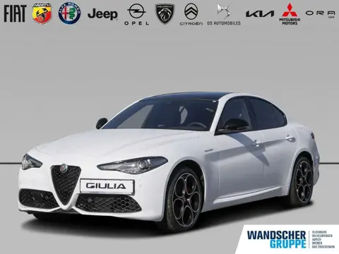 Used ALFA ROMEO GIULIA Petrol 2022 Ad 