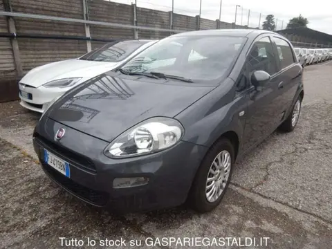 Used FIAT PUNTO Petrol 2017 Ad 