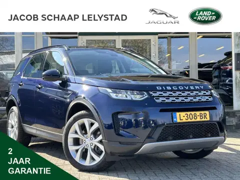 Used LAND ROVER DISCOVERY Hybrid 2020 Ad 