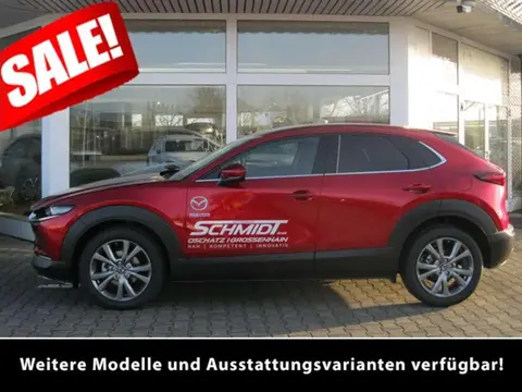 Used MAZDA CX-30 Hybrid 2024 Ad 