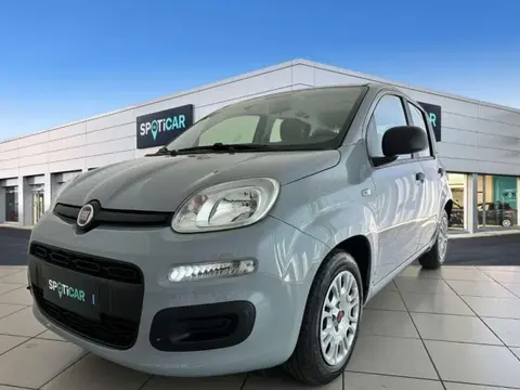 Used FIAT PANDA Hybrid 2022 Ad 