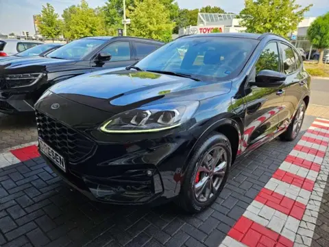 Used FORD KUGA Hybrid 2023 Ad 