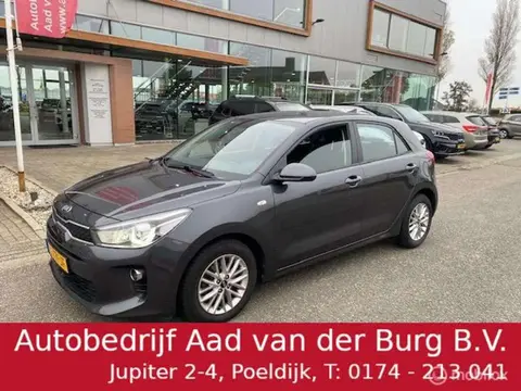 Used KIA RIO Petrol 2019 Ad 