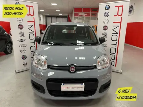 Used FIAT PANDA Hybrid 2021 Ad 