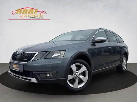 Annonce SKODA OCTAVIA Diesel 2018 d'occasion 