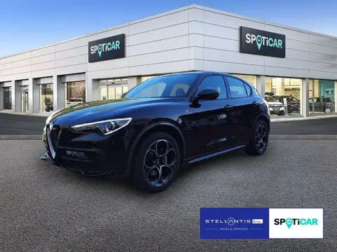 Used ALFA ROMEO STELVIO Petrol 2022 Ad 