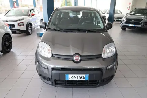 Used FIAT PANDA Hybrid 2023 Ad 