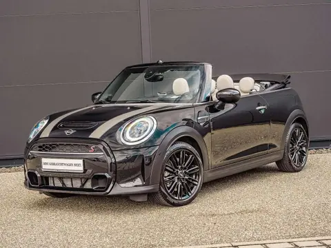 Annonce MINI COOPER Essence 2024 d'occasion 