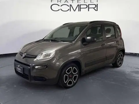 Used FIAT PANDA Hybrid 2022 Ad 