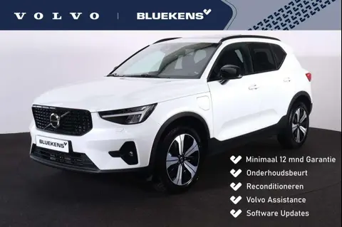 Used VOLVO XC40 Hybrid 2023 Ad 