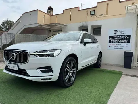 Annonce VOLVO XC60 Hybride 2020 d'occasion 