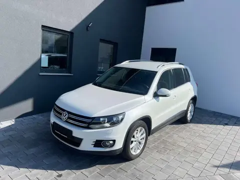 Annonce VOLKSWAGEN TIGUAN Diesel 2015 d'occasion 