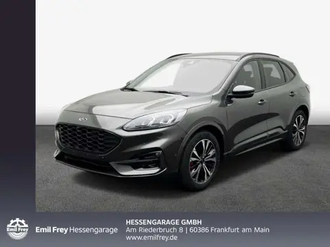 Annonce FORD KUGA Essence 2023 d'occasion 