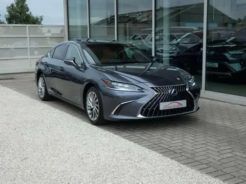 Used LEXUS ES Hybrid 2022 Ad 