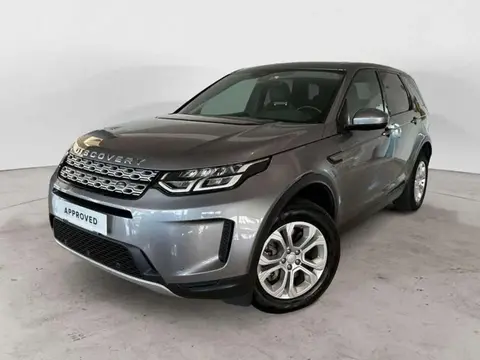 Used LAND ROVER DISCOVERY Hybrid 2020 Ad 