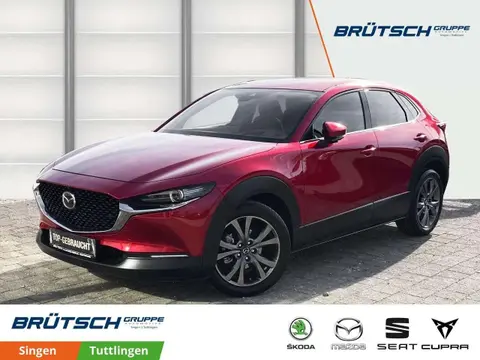 Used MAZDA CX-30 Petrol 2021 Ad Germany