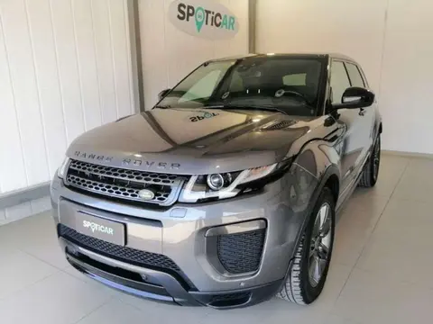 Used LAND ROVER RANGE ROVER EVOQUE Diesel 2019 Ad 