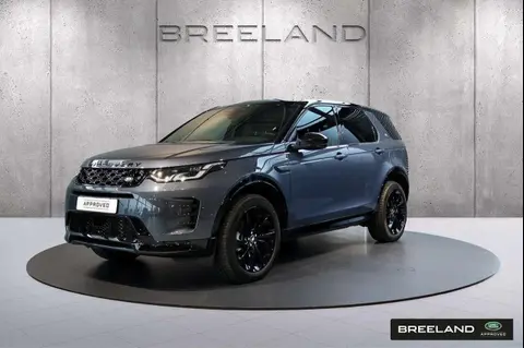 Used LAND ROVER DISCOVERY Hybrid 2024 Ad 