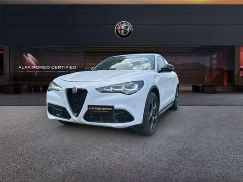 Used ALFA ROMEO STELVIO Diesel 2023 Ad 