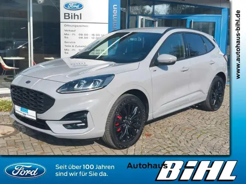 Used FORD KUGA Hybrid 2023 Ad 