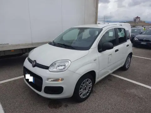 Annonce FIAT PANDA Essence 2017 d'occasion 