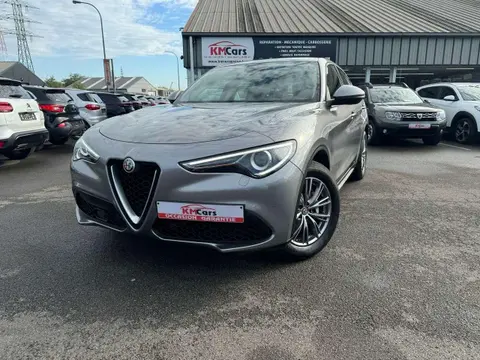 Used ALFA ROMEO STELVIO Diesel 2019 Ad 