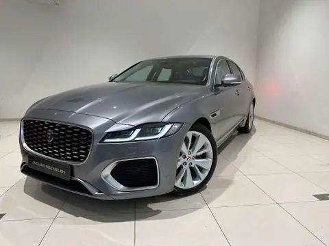 Used JAGUAR XF Diesel 2024 Ad 