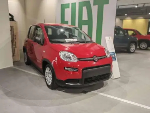 Used FIAT PANDA Hybrid 2024 Ad 