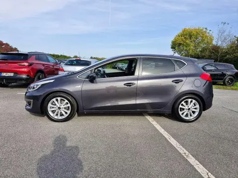 Used KIA CEED Petrol 2016 Ad 