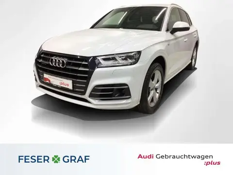 Used AUDI Q5 Hybrid 2021 Ad 