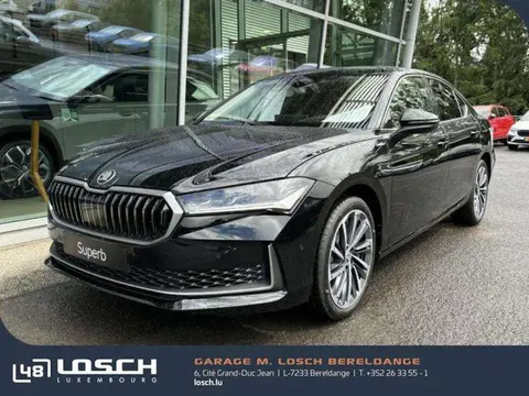 Annonce SKODA SUPERB Essence 2024 d'occasion 