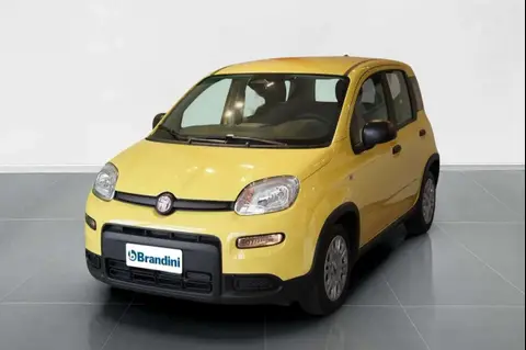 Annonce FIAT PANDA Hybride 2024 d'occasion 