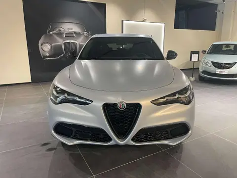 Annonce ALFA ROMEO STELVIO Diesel 2024 d'occasion 