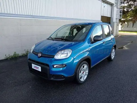 Used FIAT PANDA Hybrid 2024 Ad 