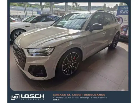 Used AUDI SQ5 Diesel 2024 Ad 