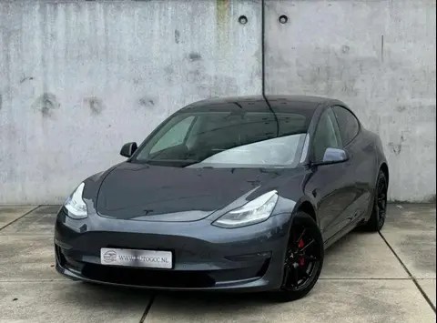 Used TESLA MODEL 3 Electric 2019 Ad 